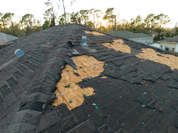 Professional Roofing in East Moline, IL